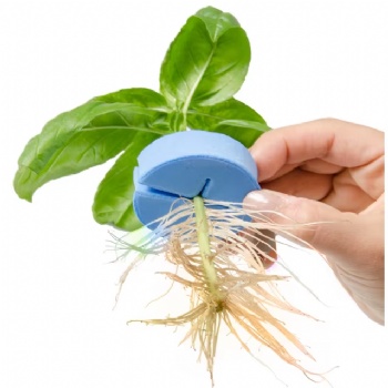 48x19mm Hydroponics System Cloning Collars Plant Foam