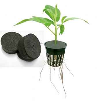  20 Pack Indoor Garden Foam Hydroponic Cloning Collars of Spoke Design Premium Neoprene Inserts Made in China (20)	