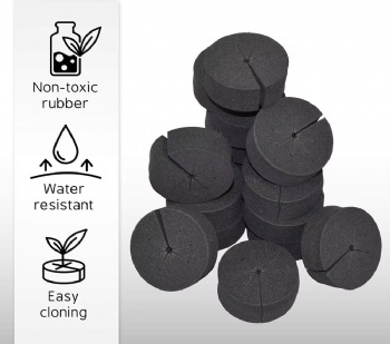 Growneer 50-Packs 2 Inches Garden Clone Collars 8 Spokes PE Insert Fits 2 Inches Net Pots for Hydroponics C	