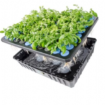  2 Inch Cloning Hydroponic Garden Plug Machine Replacement Seeding Plant Foam for Flower Pots & Planters	