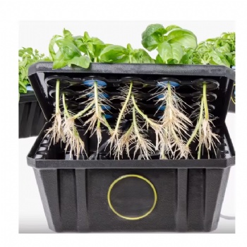  2 Inch Cloning Hydroponic Garden Plug Machine Replacement Seeding Plant Foam for Flower Pots & Planters	