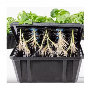  Hydroponics Seedling Sponge Cloning Collar for Net Pot of Garden Plants	