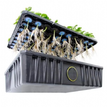 Hydroponic Cloning Collar Plant Foam	