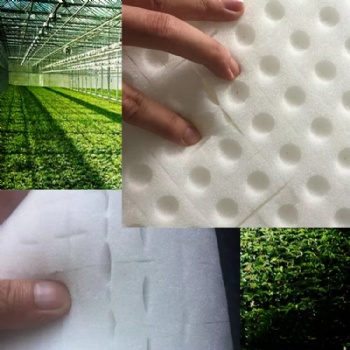  Hydroponic Container Growing Systems Foam Sheet	