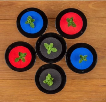  60-Piece Cloning Collar Inserts 10-Pack 2 Inch Net Pots Mixed Colors Premium Grade PE Foam for Garden Clone Compatible 2 Inch	
